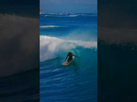 Kani jammin on one of the first summer swells to roll through Waikīkī | Drone Angle