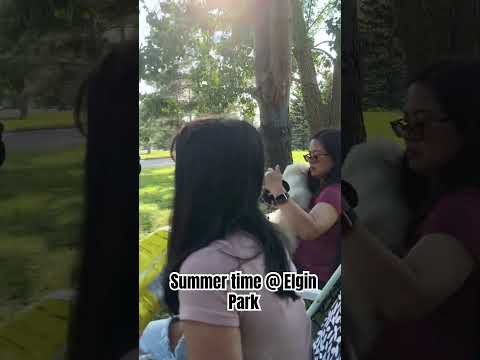 Summer Time @ Elgin Park Moose Jaw SK   #summervibes #familytime #july2024  #shortvideo