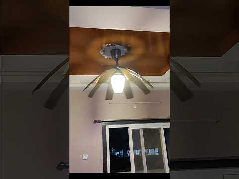 oltao Susan Smart Chandelier Ceiling Fan #oltaosusan #shortsfeed #shorts #shortvideo #ceilingfan