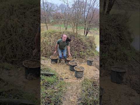 Moving buckets of subsoil #adventure #permaculture #landscaping #cat #mud #fitnessmotivation