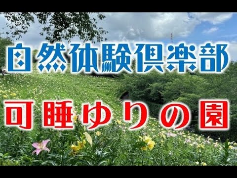 可睡ゆりの園