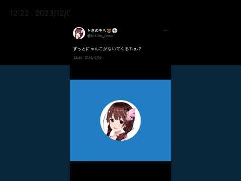 にゃんこ【ときのそら/ホロライブ】