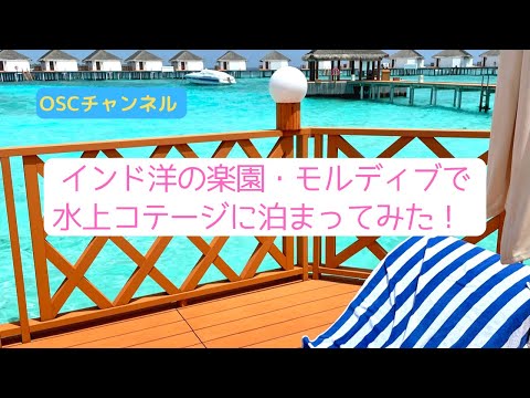 【短編】インド洋の楽園・モルディブで水上コテージに泊まってスノーケリング（シュノーケリング）をしてきました！