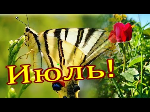 Июль!Макушка Лета!🌺Здравствуй Июль,середина лета!