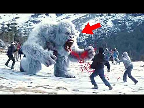 Researchers At Expedition Bigfoot Confirm The Evidence Is Real!