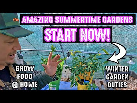 Winter Garden Prep For An Abundant Spring & Summer Garden Starts Now!