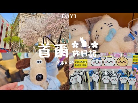 Korea Seoul Travel VLOG Korea Day3 This year I went to Korea to see cherry blossoms~