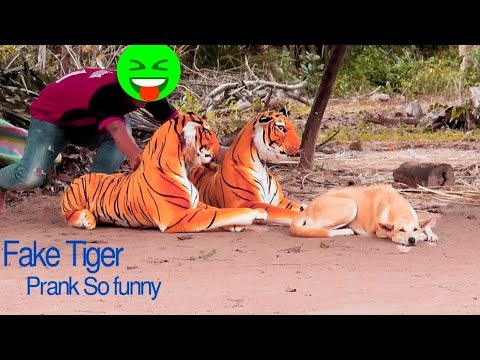 dog reactions to fake tiger |prank | fun superfast