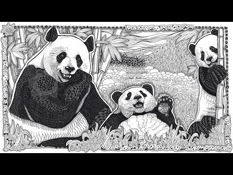 Panda Doodle Time Lapse with Printable Coloring Page