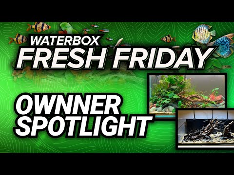 Fresh Friday - Owner Spotlight