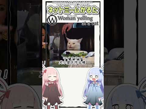 ネットミームかるた #1103 Woman yelling at a cat #Shorts