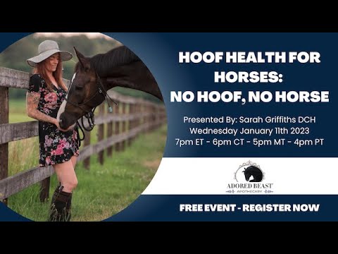 Why Why A Solid Foundation is Paramount: Hoof Health for Horses - Adored Beast Apothecary Equine