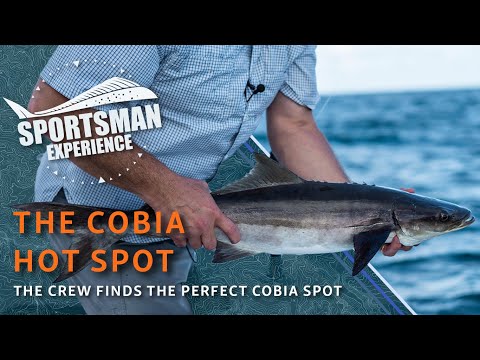 The Sportsman Experience Shorts - We Found The Cobia Hot Spot