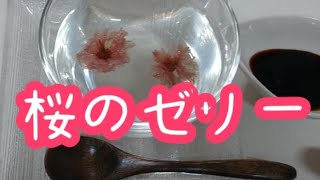 「桜のゼリー」花見のお供に 花見に行けない方へのプレゼントに オシャレ 美味しい デザート 簡単 安い レシピ 春のお菓子 手作り 主婦 料理