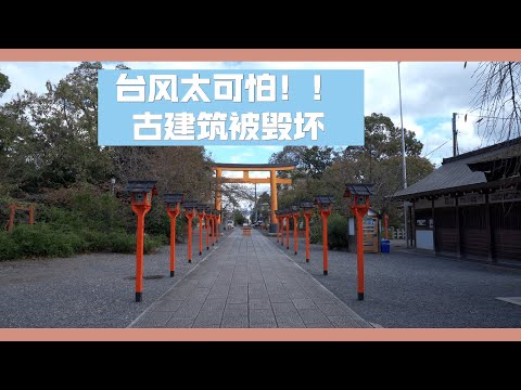 【京都散步】因着2018年台风，遭到严重毁坏的古老神社。平野神社散步，聊聊日本的生活趣事