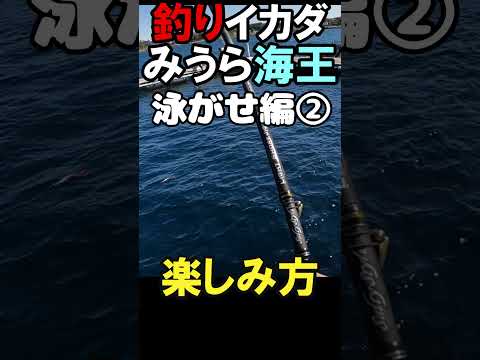 簡単海釣り③ #みうら海王 #ファミリーフィッシング #釣り堀 #海釣り #初心者必見 #fishing #マハタ