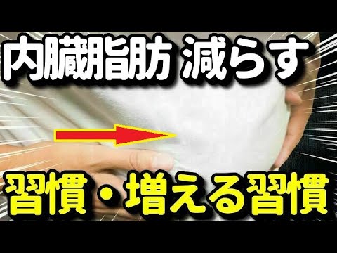 内臓脂肪を減らす習慣５選！内臓脂肪が増えるとどうなる？増える食生活とは？健康・ダイエットにも悪い？知ってよかった健康雑学