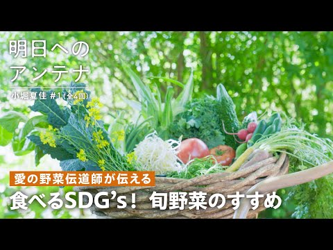 #1(全4回)愛の野菜伝道師・小堀 夏佳さん【明日へのアンテナ】 by Domohorn Wrinkle｜土地の旬野菜を食べることがSDGsにつながる