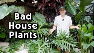 10 Plants that DON'T make good Houseplants