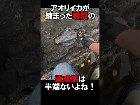 湘南沖磯のエボシ岩釣行を振り返ってみると見えて来たこと#2 #釣り #ティップラン