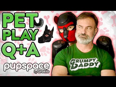 PET PLAY HAUL Q&A