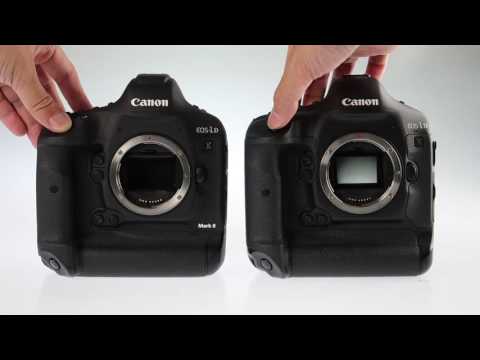 【Canon EOS 1D X II vs  Canon EOS 1D X】靜音拍攝示範