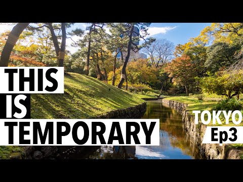 City. Nature. Come with me to Koishikawa Korakuen Garden. | This is Temporary ep3