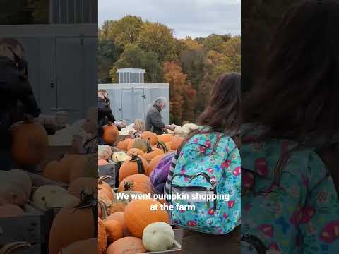 We went pumpkin 🎃 🎃 shopping at the farm #falldecor #pumpkin #shorts #halloween2022 #shortsvideo