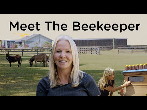 Beekeeping in the Gold Coast hinterland