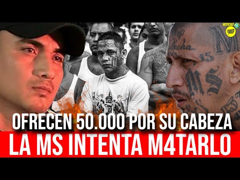 MARA SALVATRUCHA QUIEREN M4TAR ARTISTA MUSICAL! TESTIMONIO