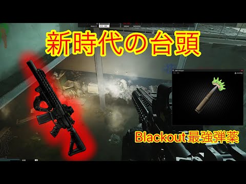 【タルコフ】ライフルレッグメタが最強！？kappa持ちずんだ餅なずんだもんが太鼓判を捺す！！最強無敵邪龍炎舞深淵冥界武器MCX ＆ .300 Blackout(Whisper「滅びの爆裂疾風弾」)