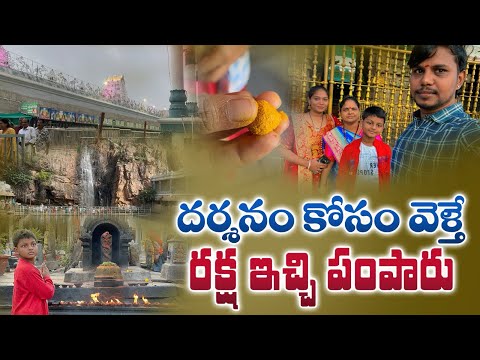 ఆయన మహిమ తెల్సిన వాళ్ళకే అర్ధమవుతుంది |Tirumala Trip|Amar Devotional Vlogs|