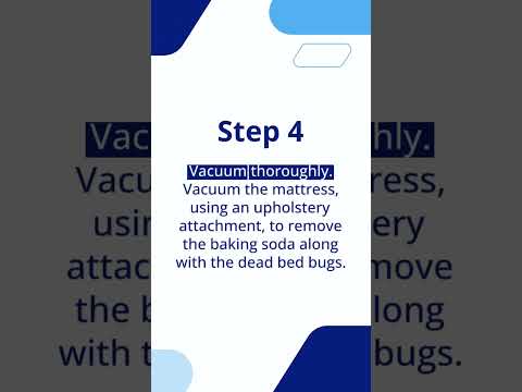 How to Use Baking Soda to Kill Bed Bugs | The Guardians Choice