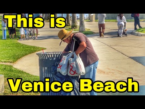 This is Venice Beach 2024