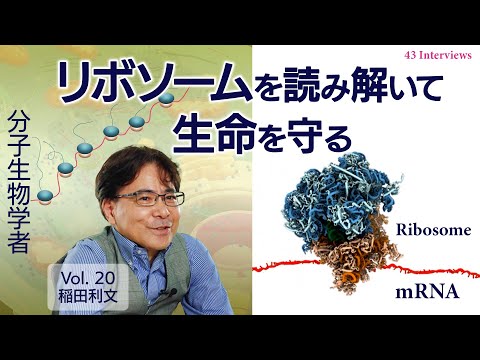 Ribosomes: The Key to Life - Professor Toshifumi Inada, Division of RNA and Gene Regulation, UTokyo