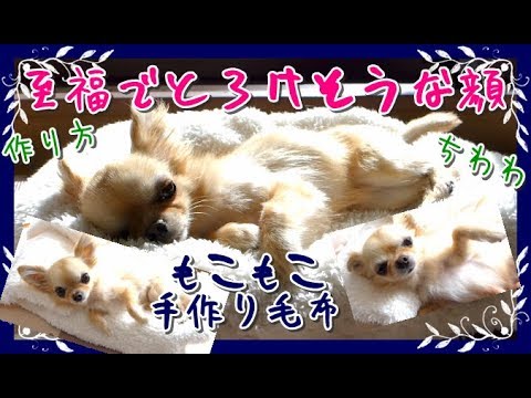 至福でとろけそうな顔🐣手作りもこもこ毛布に喜ぶチワワ💚作り方～DIY 🐶Dog's blanket