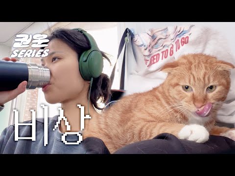 고양이 앞니가 털린 건에 대하여 | 슬기로운 집사 생활 2 [권운 시리즈 고양이 키우기]