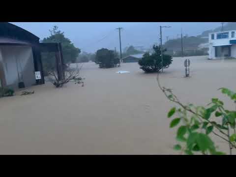 国頭村の比地川が氾濫