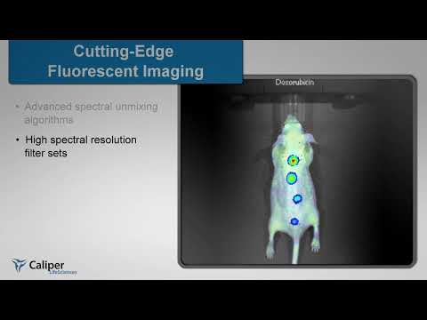 IVIS Spectrum microCT-Integrated premier optical imaging and low dose microCT