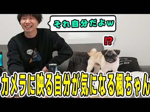 カメラに映る自分がどうしても気になって落ち着かない楓ちゃん【三人称/ドンピシャ/ぺちゃんこ/鉄塔/三人称雑談/切り抜き】