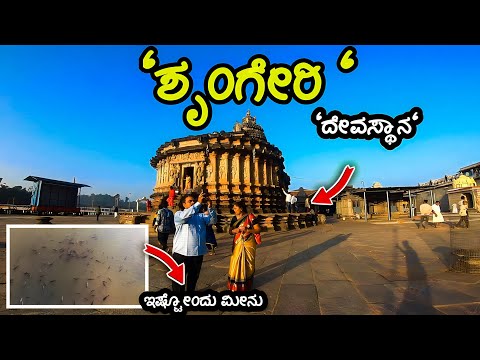 🐬ಮನುಷ್ಯನ ಗಾತ್ರದ ಮೀನು ಇದೇ ಇಲ್ಲಿ😯||sringeri temple#sringeri #karnata#daliyvlog