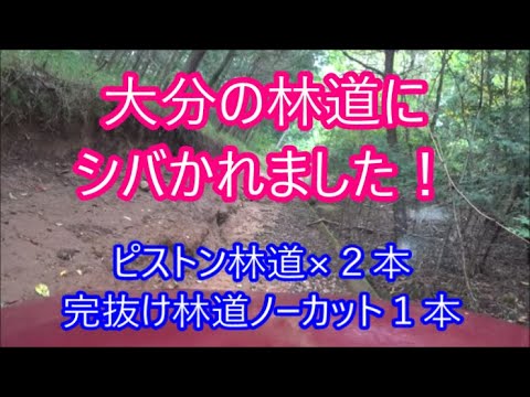 【2024九州林道シリーズ②】　大分県ほぼ廃道に近い林道　前半ピストン林道２本　後半完抜け林道ノーカット【ジムニー林道】