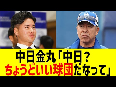 中日金丸「中日？ちょうどいい球団だなって」