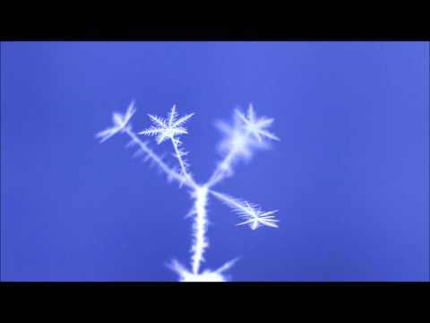 Snowflake Science: Time-lapse 2