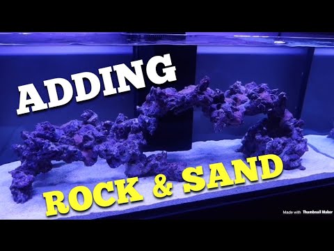 Adding Rock & Sand (Waterbox 180.5)