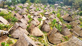 【2M Views】The last primitive tribe in China: Wengding Village, the remnants of Wa dance and culture.