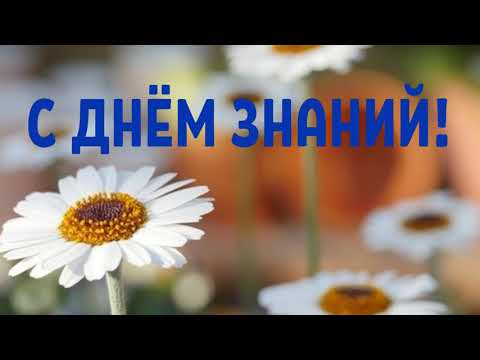 САМОЕ КРАСИВОЕ ПОЗДРАВЛЕНИЕ С ДНЕМ ЗНАНИЙ! С 1 СЕНТЯБРЯ! ПОЗДРАВЛЕНИЕ С 1 СЕНТЯБРЯ! День Знаний