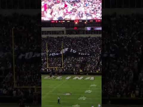 Sandstorm Gamecock Football #gamecocks #secfootbal #gamecockfootball