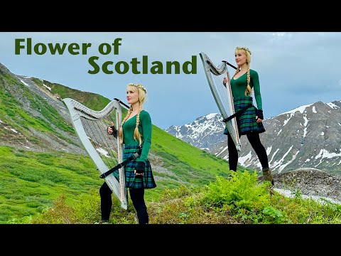 Flower of Scotland - Harp Twins