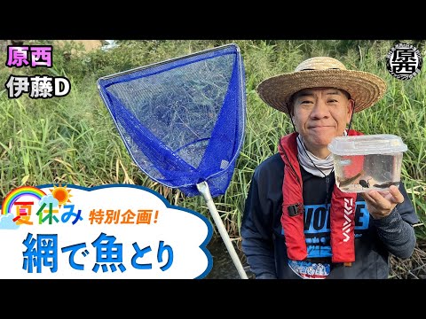 夏休み特別企画！原西＆伊藤Dの網で魚とり【ガサガサ】